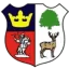 Cinderford Town